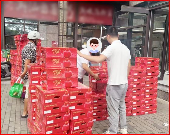 63228ccd-5406-4570-93ed-055ec3923fe5